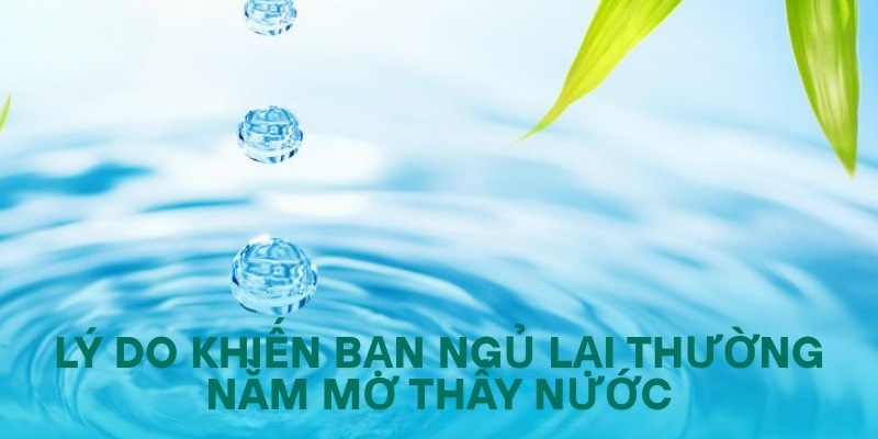 Những lý do khiến bạn khi ngủ lại thường nằm mơ thấy nước