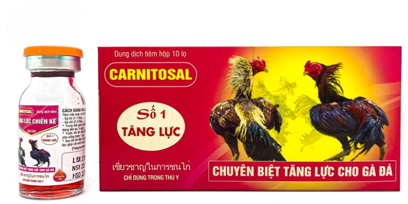 Sử dụng thêm các sản phẩm hỗ trợ giúp tăng lực cho gà chọi