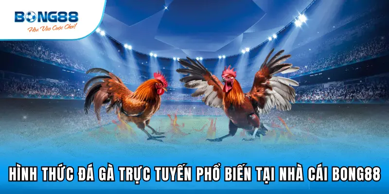 Hình thức đá gà trực tuyến phổ biến tại nhà cái Bong88